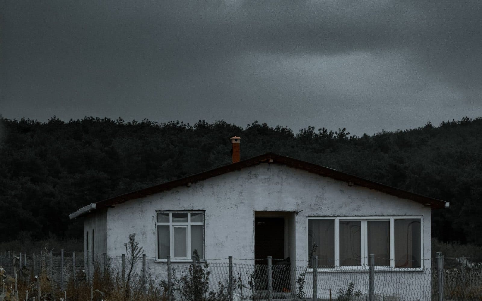 A vacant house with an overgrown yard